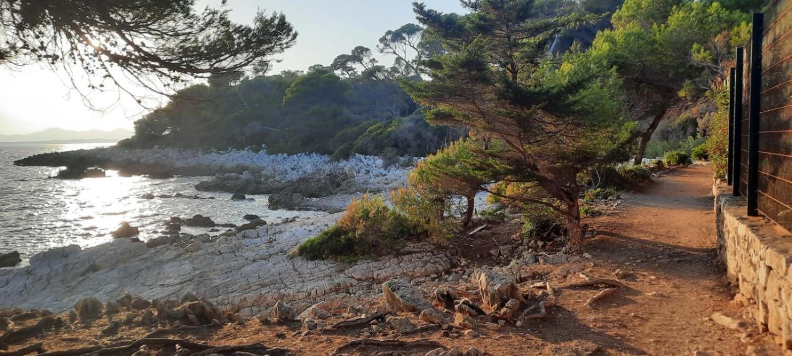 Studio Sun-Beach Avec Parking Et Jardin - 500M Des Plages De Juan Les Pins アンティーブ エクステリア 写真