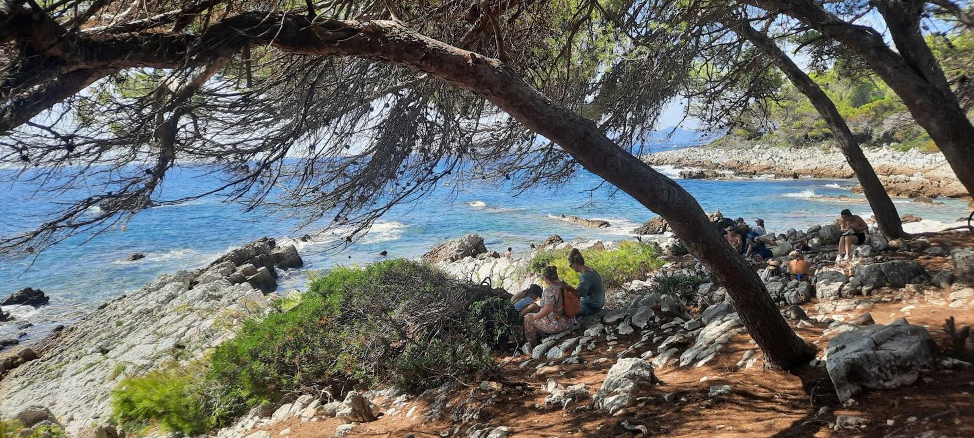 Studio Sun-Beach Avec Parking Et Jardin - 500M Des Plages De Juan Les Pins アンティーブ エクステリア 写真